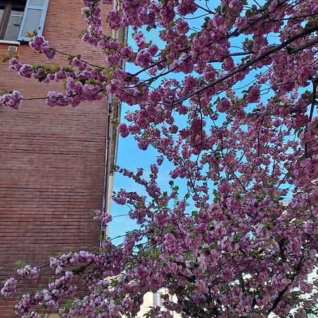 Ellis Dream Lägenhet Como