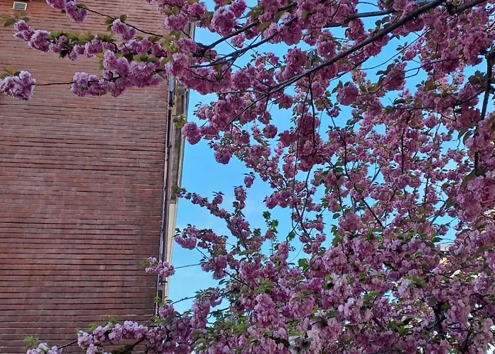 Ellis Dream Lejlighed Como